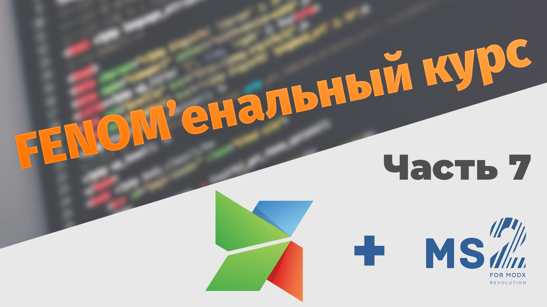 FENOM'енальный курс. Часть 7. Выводим сгруппированные характеристики товара и реализуем отзывы о товаре.