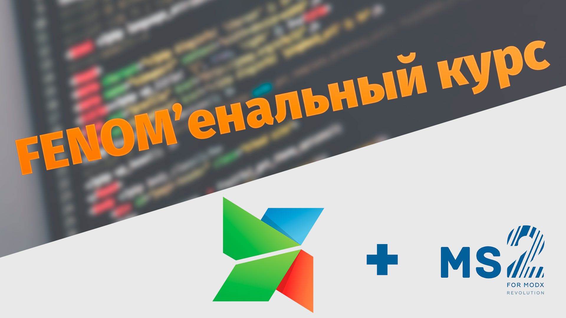 FENOM'енальный курс. Вводная статья.