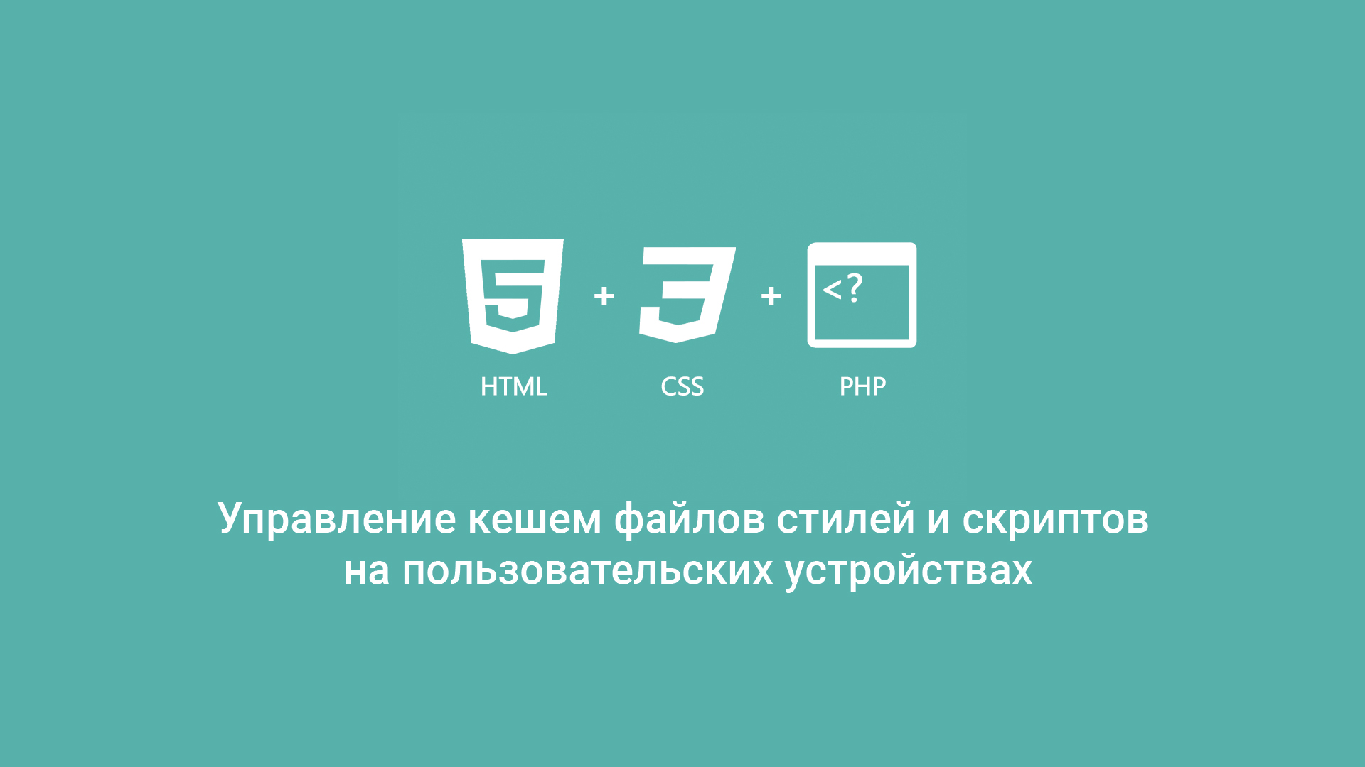 Управление кешем файлов стилей и скриптов